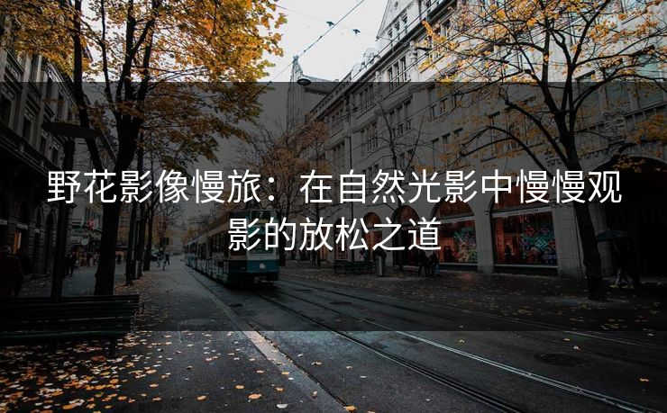 野花影像慢旅：在自然光影中慢慢观影的放松之道