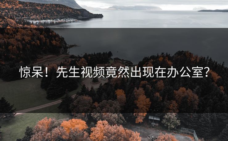 惊呆！先生视频竟然出现在办公室？