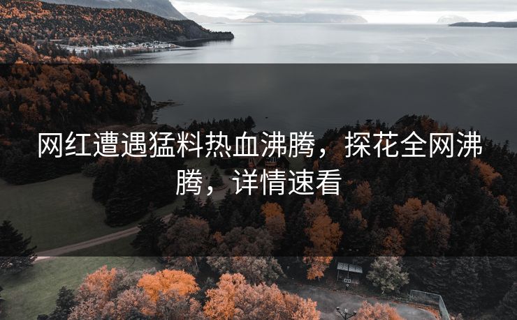 网红遭遇猛料热血沸腾，探花全网沸腾，详情速看