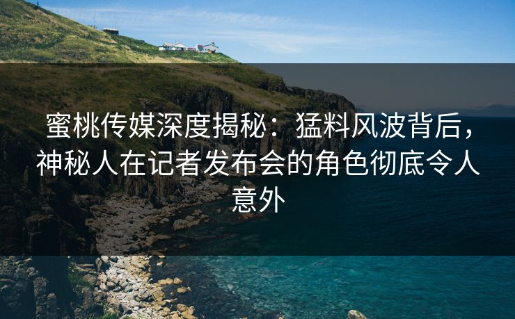 蜜桃传媒深度揭秘：猛料风波背后，神秘人在记者发布会的角色彻底令人意外