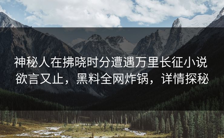 神秘人在拂晓时分遭遇万里长征小说 欲言又止，黑料全网炸锅，详情探秘